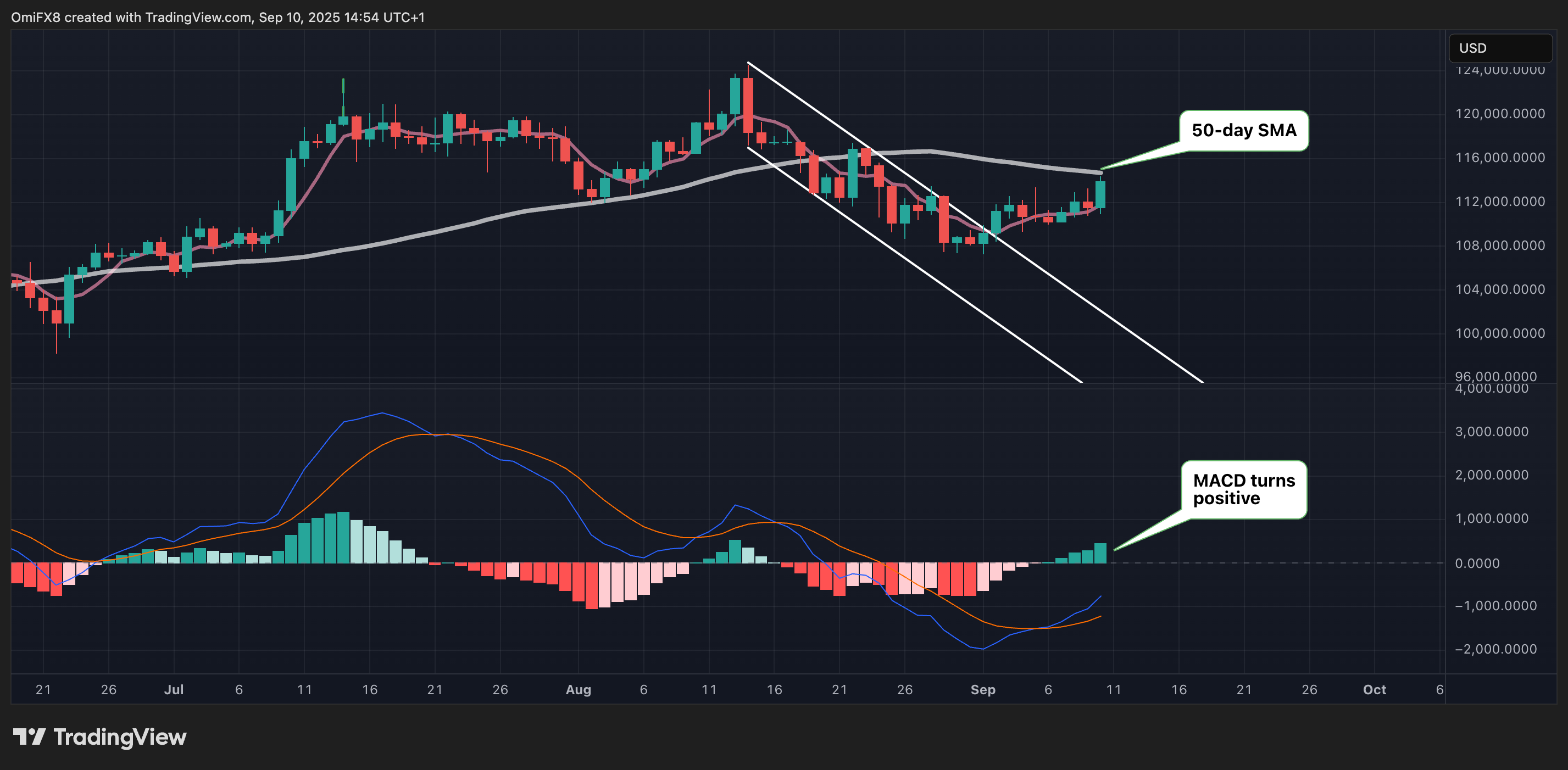 BTC的日线图显示出重新上升的价格动能。(Tradingview/CoinDesk)