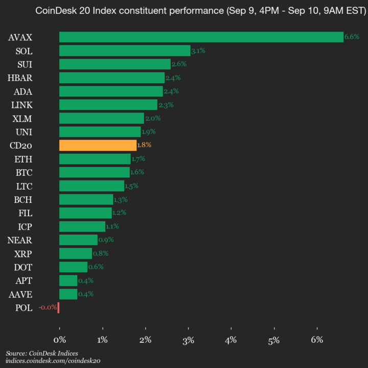 2025-09-10 9am CoinDesk 20 更新：垂直图