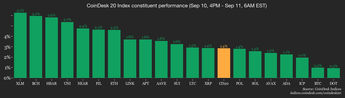 CoinDesk 20 members’ performance