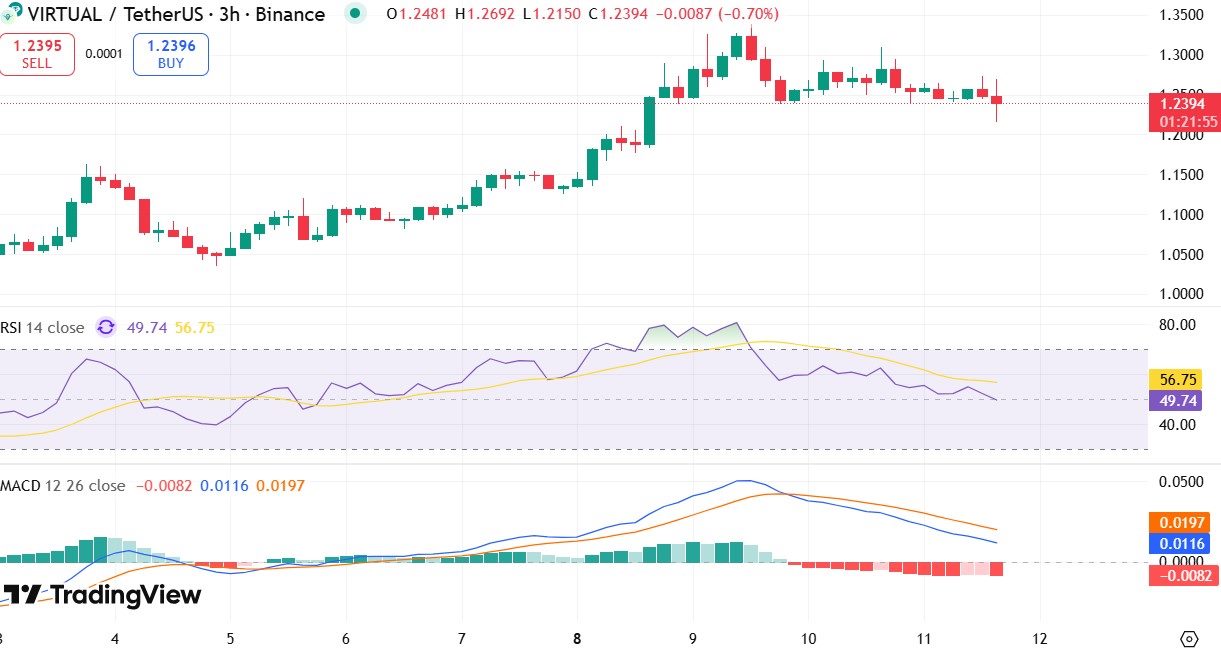 Virtual Protocol Price Drop Today