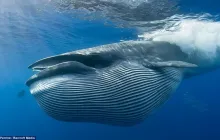DeFi Beginner's Guide (Part 1): See How AAVE Whales Use 10 Million USD to Achieve 100% APR Through Interest Rate Arbitrage