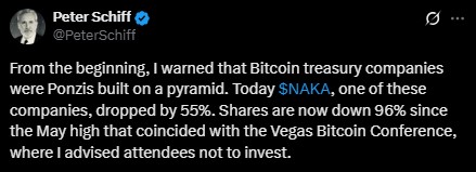 Peter Schiff Warning