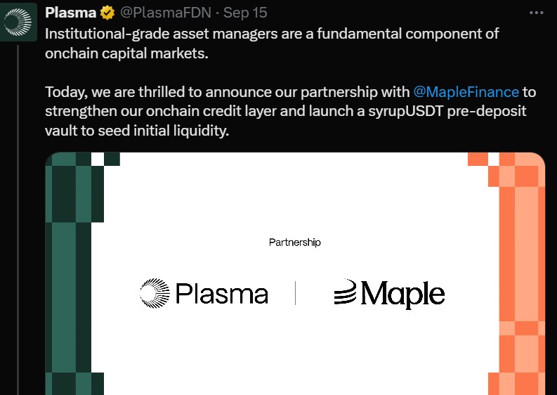 Plasma and Maple Finance Partnership