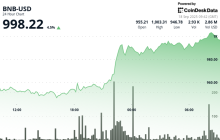 BNB 达到 1,000 美元的历史新高，随着币安接近与司法部的交易，关于 CZ 回归的传闻愈发增多