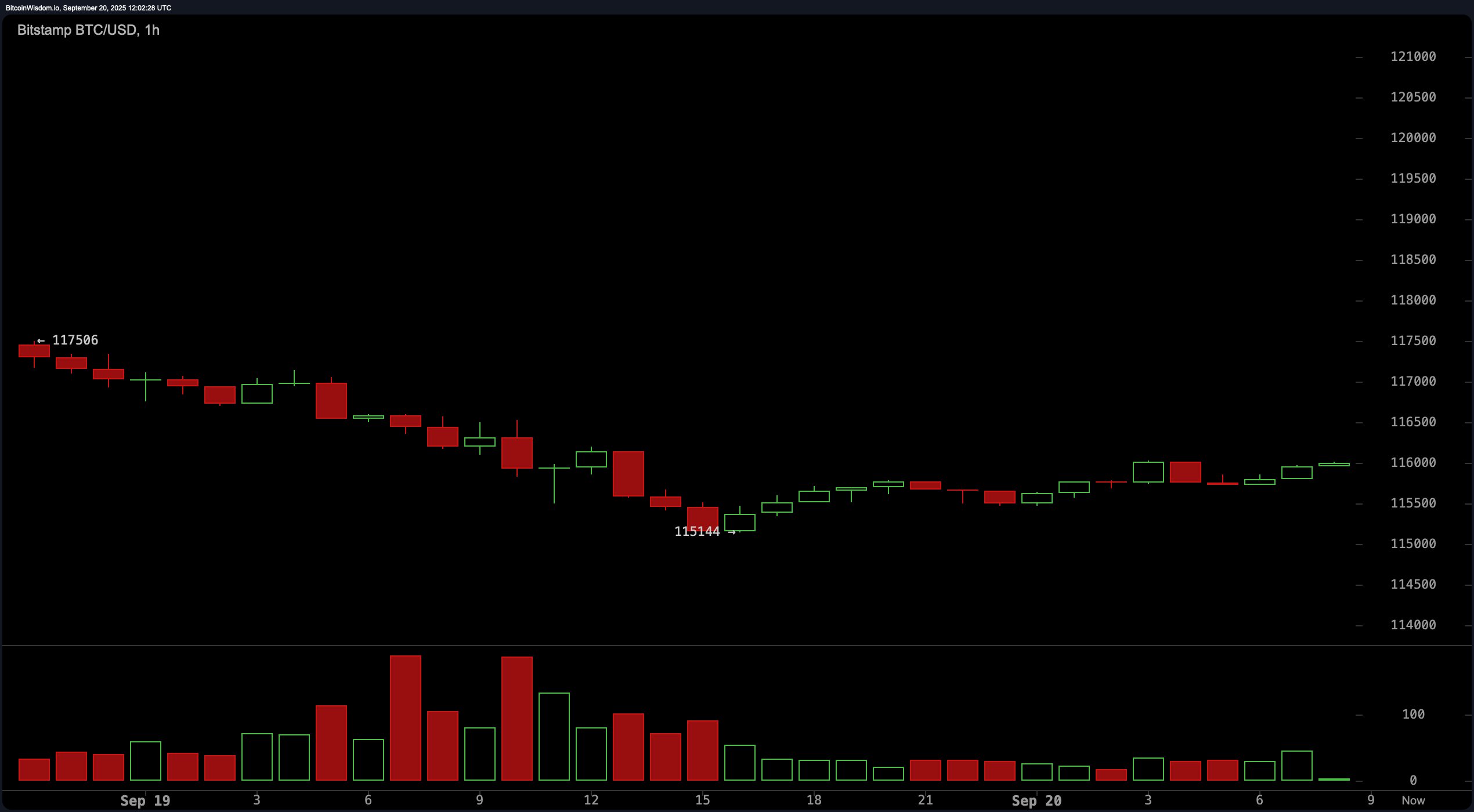 Bitcoin Price Watch: Bulls Eye $119K as Momentum Wavers