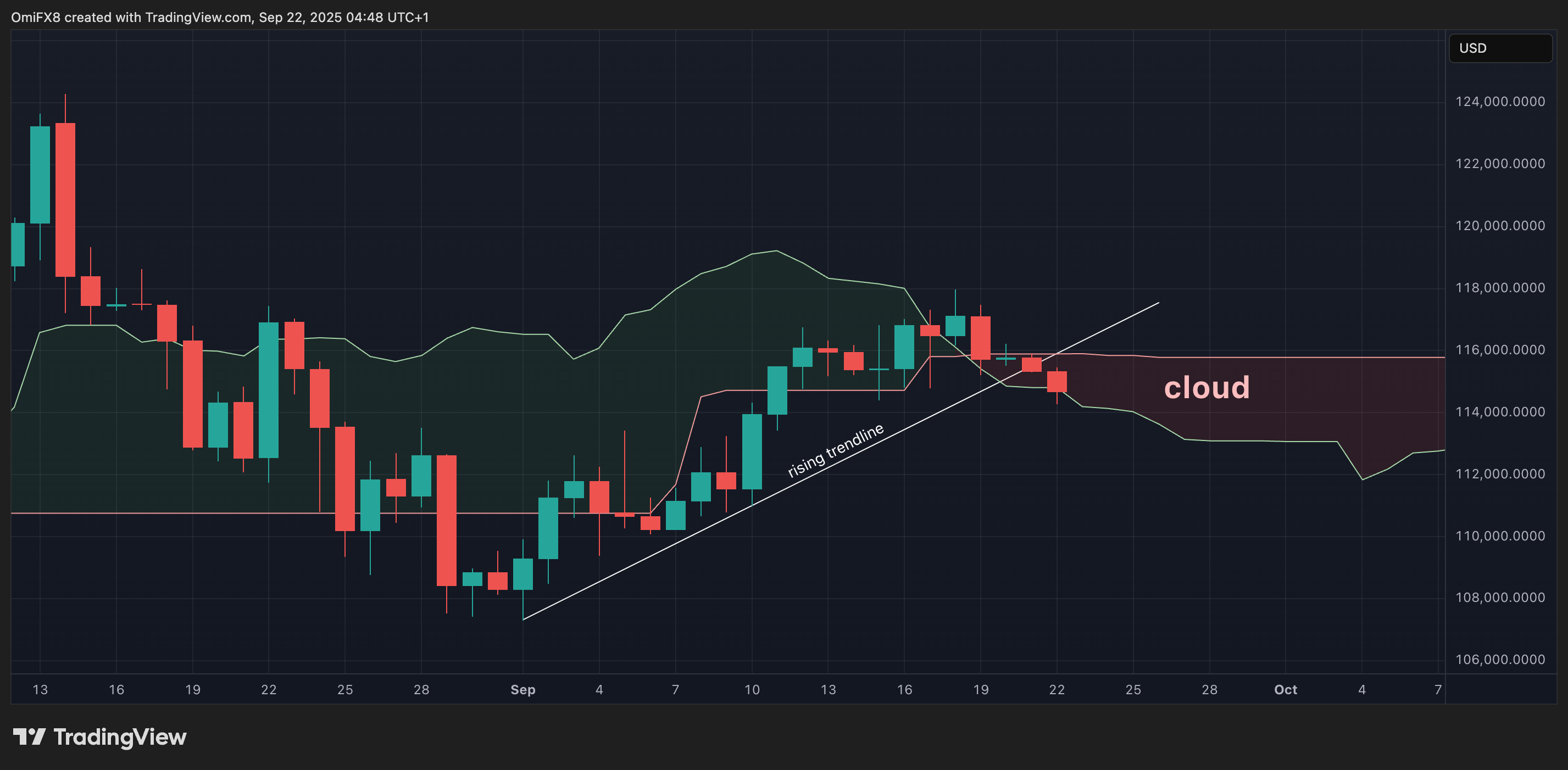 BTC的日线蜡烛图。(TradingView/CoinDesk)
