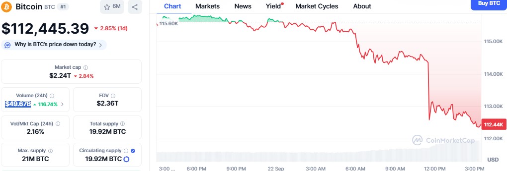 Bitcoin Price