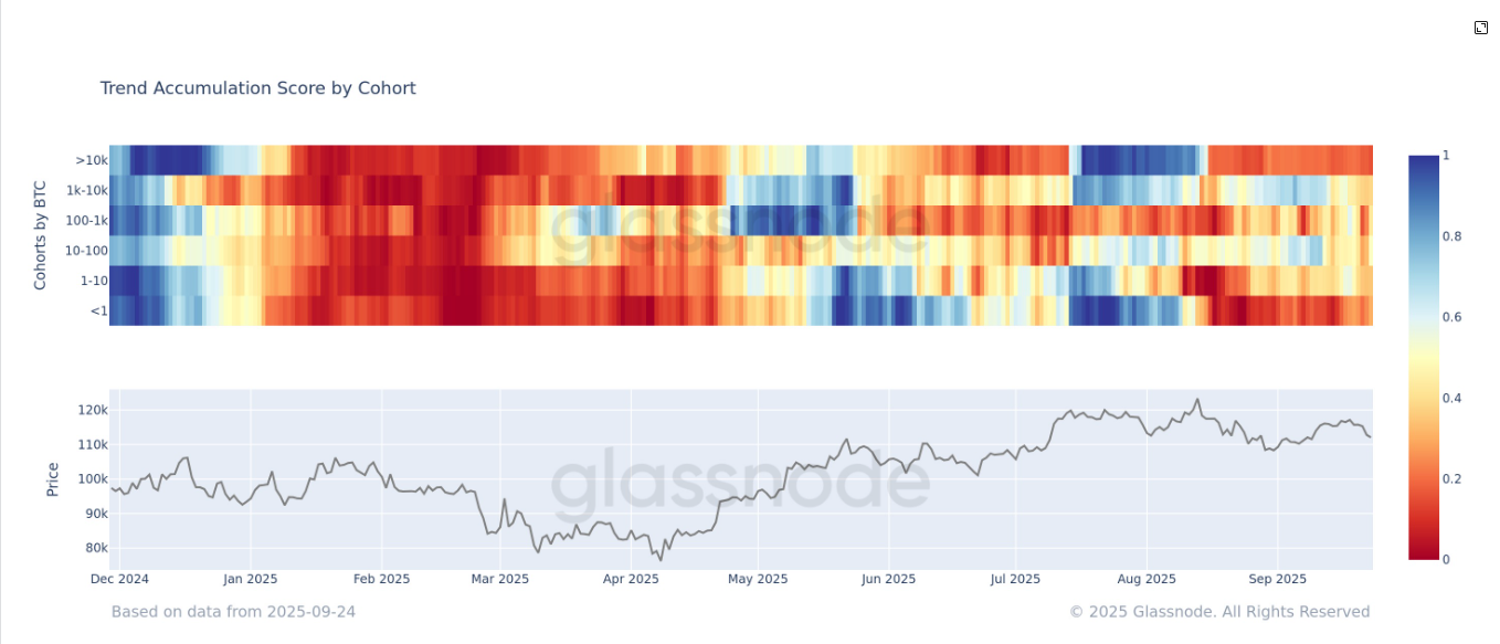 Trend Accumulation Score by Cohort (Glassnode) Trend Accumulation Score by Cohort (Glassnode)