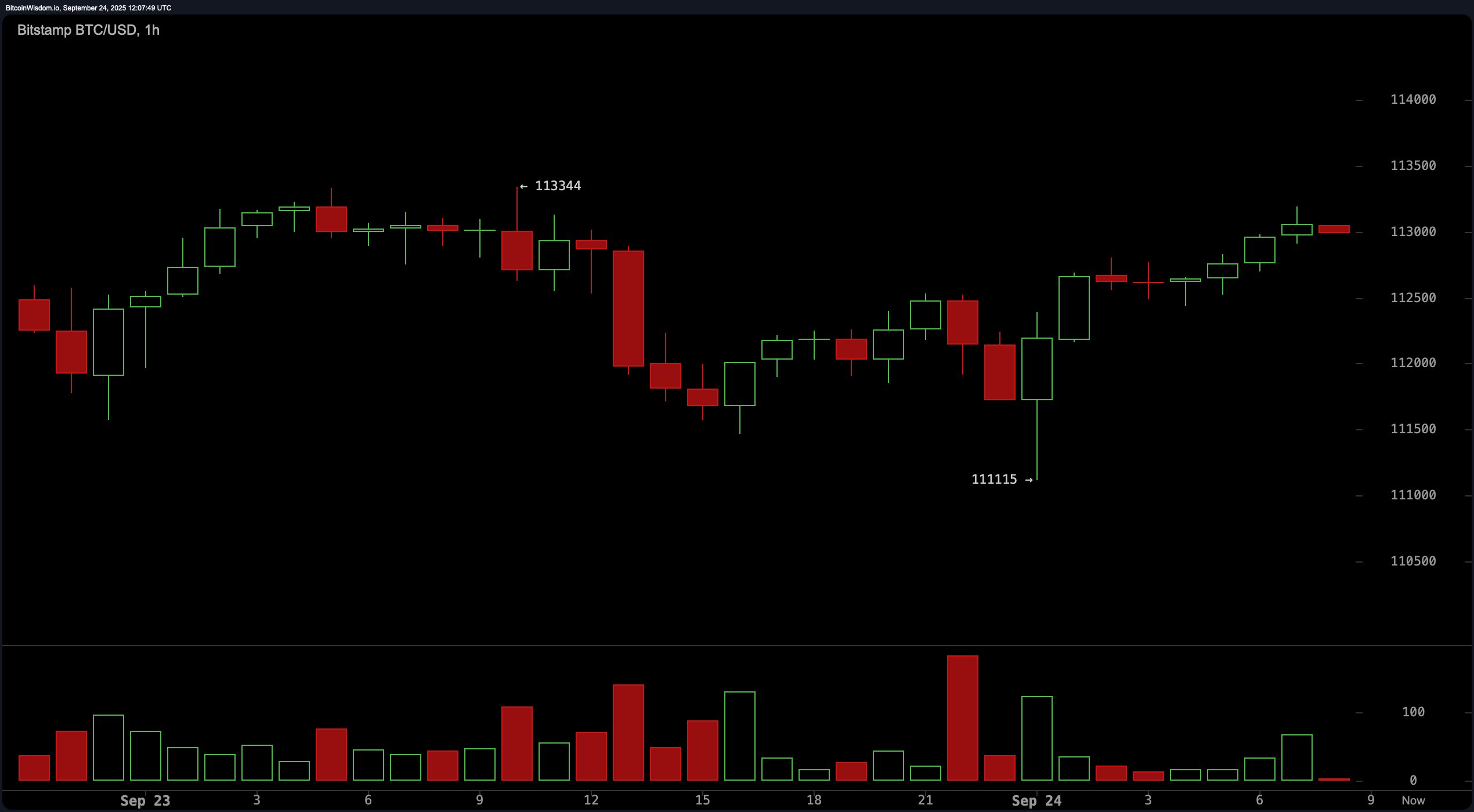 Bitcoin Price Watch: Will $113K Hold or Crack Under Bearish Pressure?
