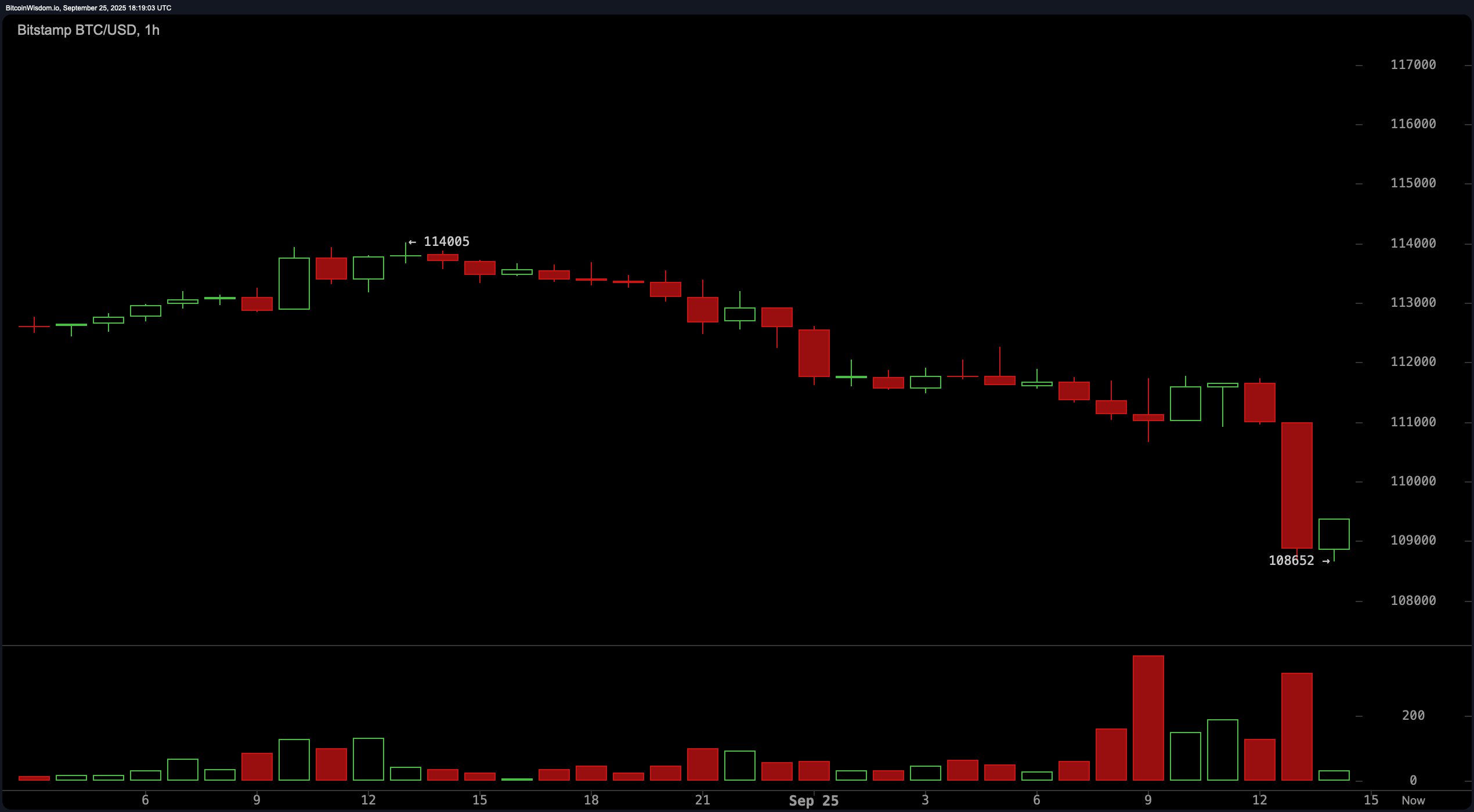 Margin Call Nightmare: BTC's Plunge Below $109,000 Flushes $265M in Longs