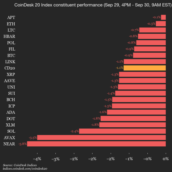2025-09-30 9am CoinDesk 20 更新：垂直图