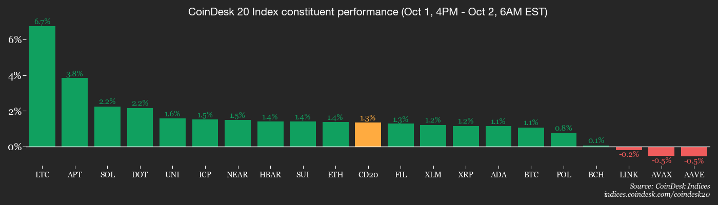 CoinDesk 20 members’ performance