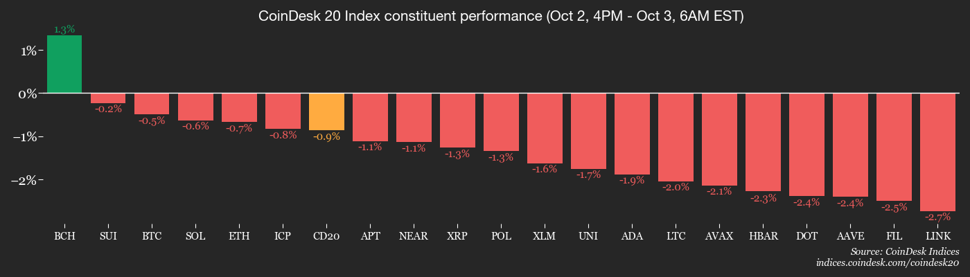 CoinDesk 20 members’ performance