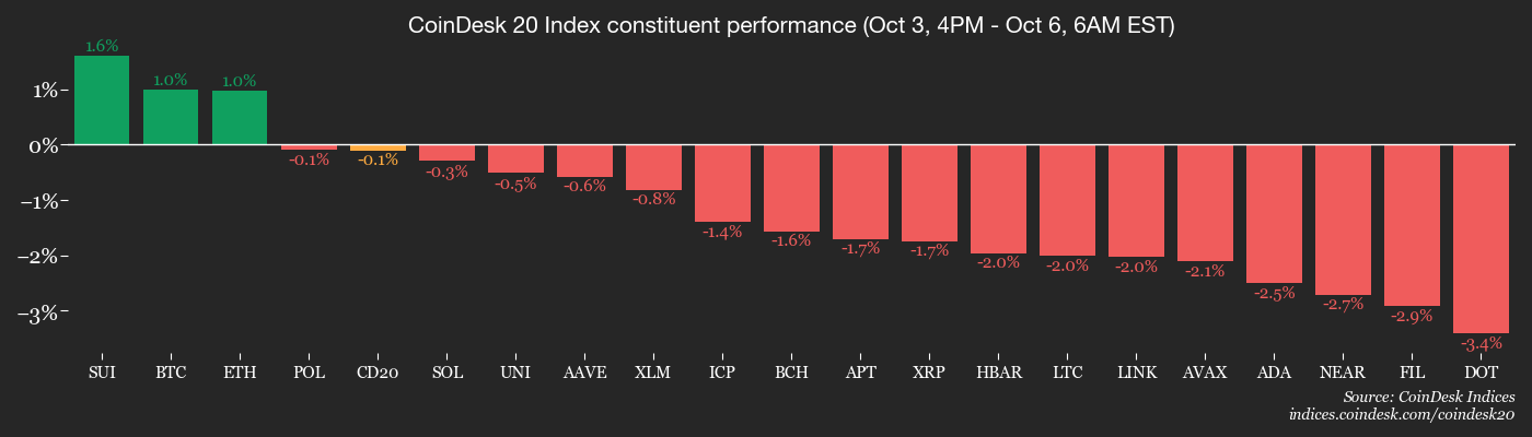 CoinDesk 20 members’ performance