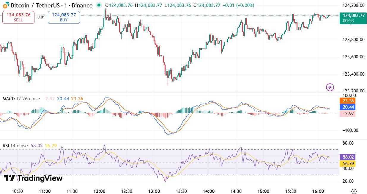 Bitcoin Price Surge Prediction