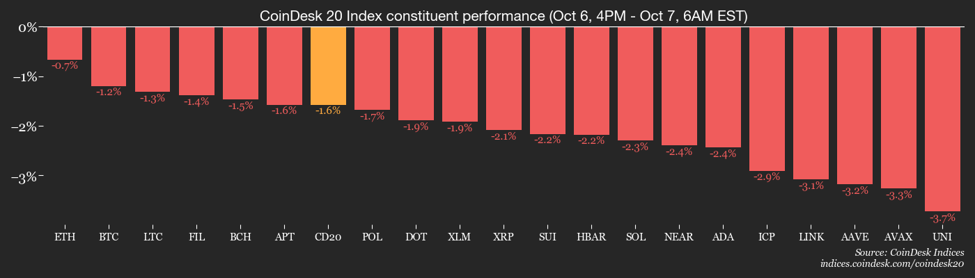 CoinDesk 20 members’ performance