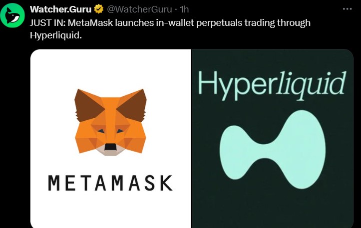 MetaMask 永续交易 (Perps) 上线