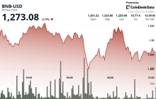 BNB Falls 2% as Memecoin Trades Unwind Despite \\\'Hard to Ignore\\\' Rally