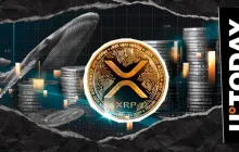 Whales Offload XRP at Dizzying Pace