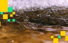 Hyperliquid Introduces \\\'Based Streams,\\\' a DEX-Powered Live Streaming Platform