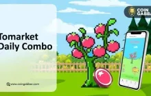Tomarket Daily Combo 11 October 2025: Boost Your Earning