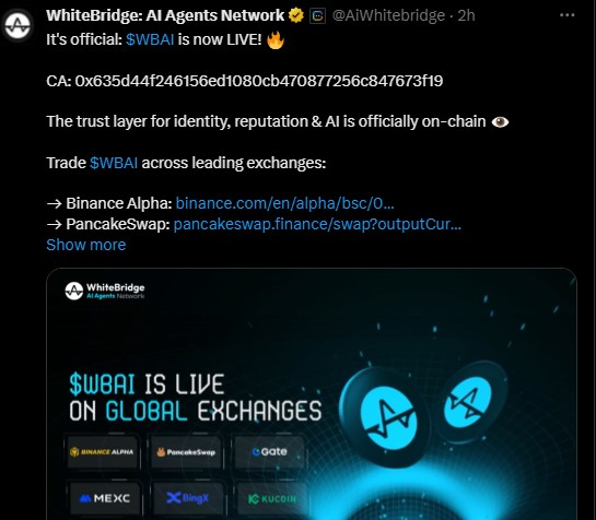 WhiteBrdige Network Binance Listing