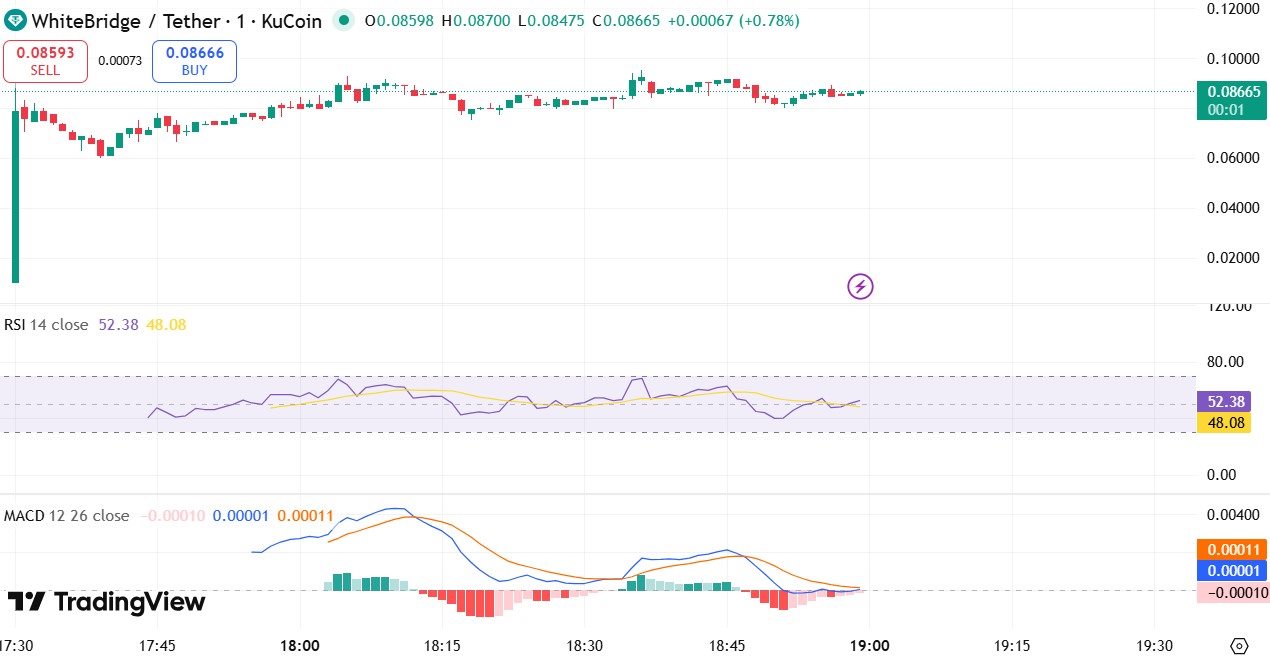 WhiteBridge Network Price Prediction