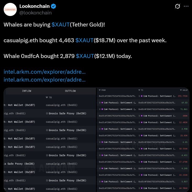 Tether Gold Whale Buy