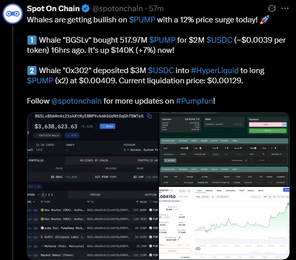 Pumpfun Whale Buy