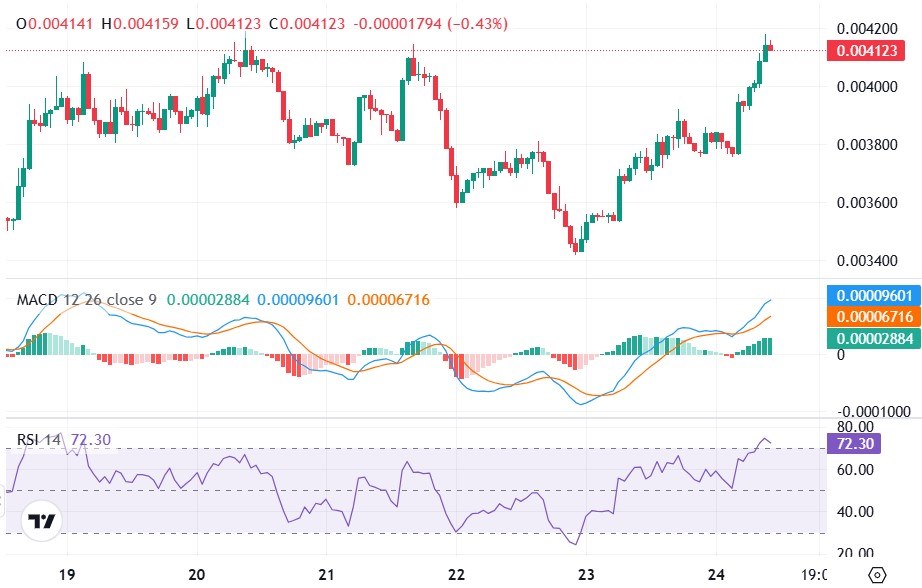 PumpFun Coin Price Rally Analysis
