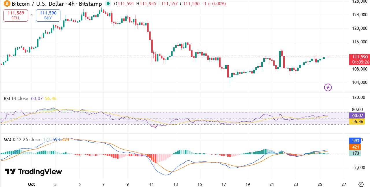 Bitcoin Price Surge Bitcoin Price Surge