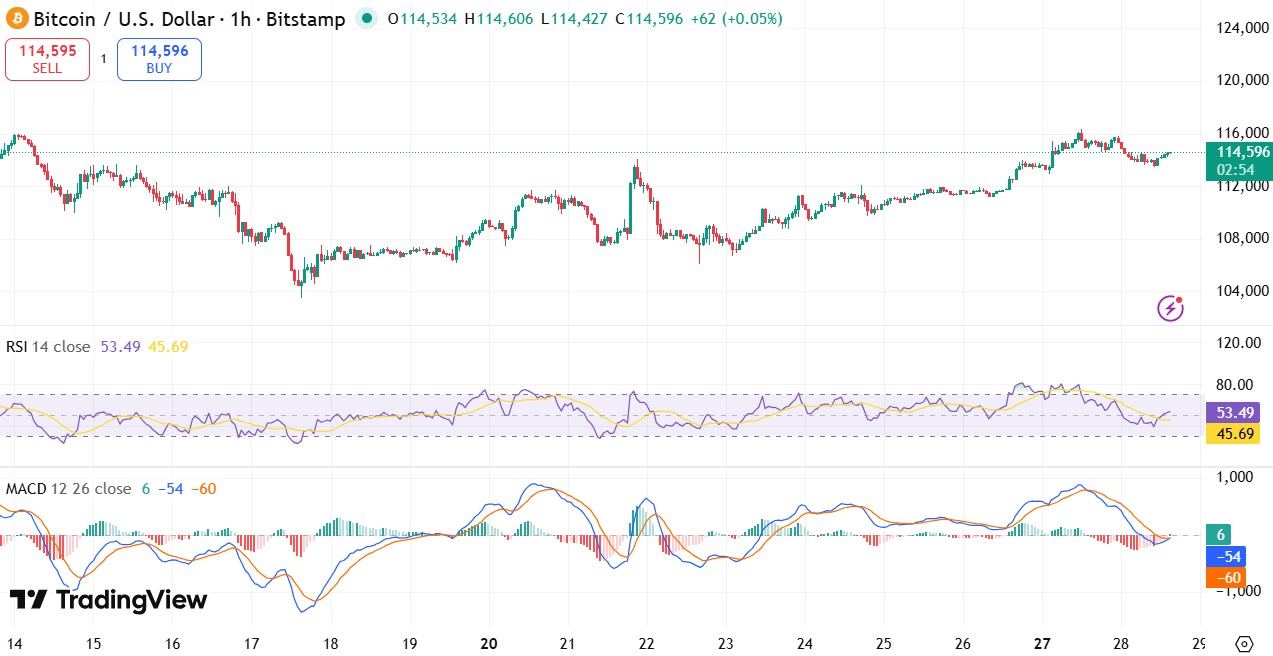 比特币价格崩溃