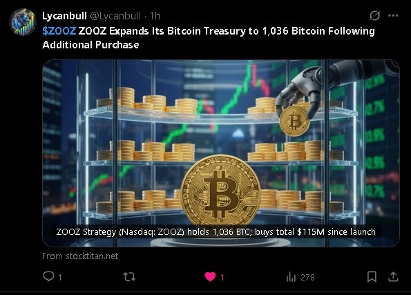 ZOOZ Bitcoin Treasury  ZOOZ Bitcoin Treasury