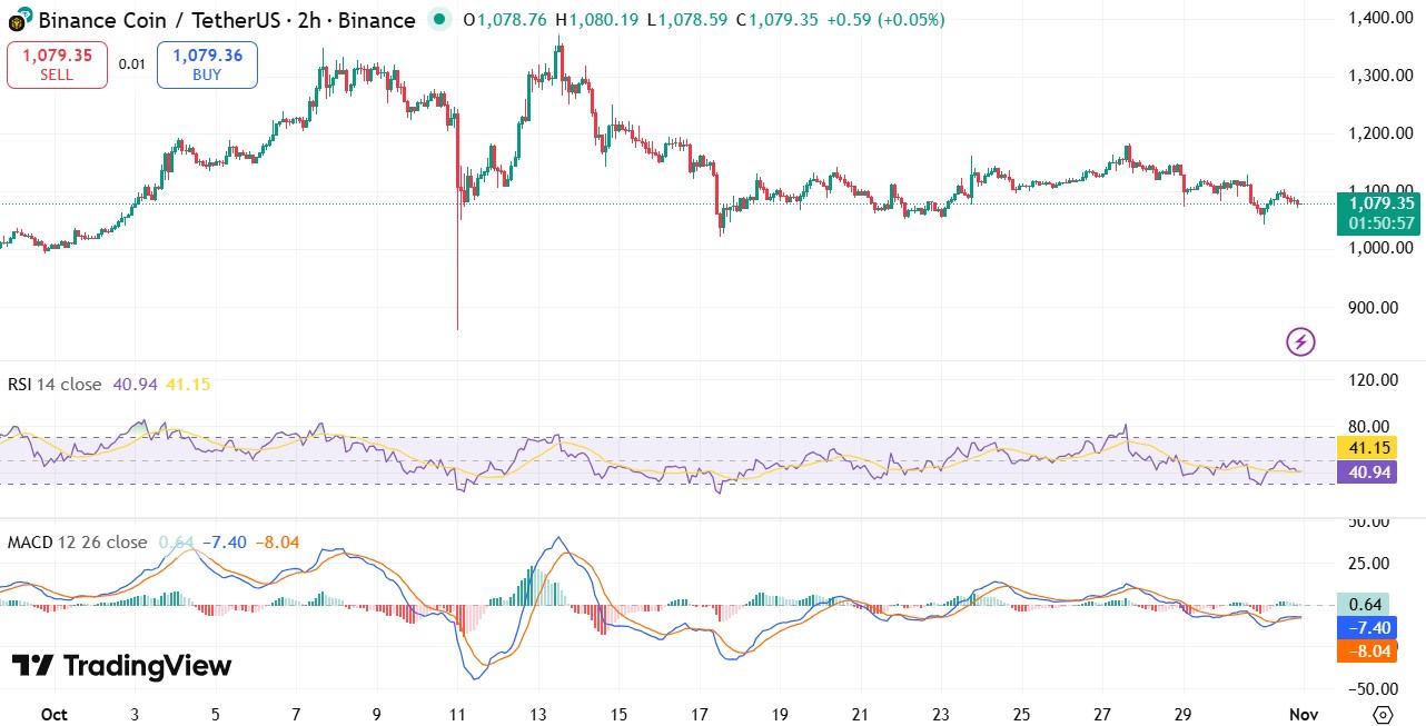 BNB币价格上涨 BNB币价格上涨