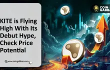 在KITE在Binance Alpha上市之前，申请KITE AI空投