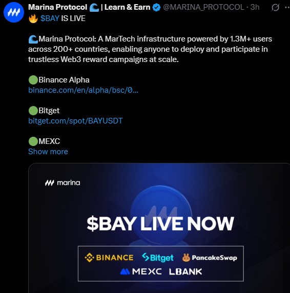 Marina Protocol Listing Date Surge