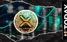 100% XRP 用户激增：这一激增背后的原因是什么？