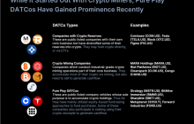 2025年数字资产财库公司 (DATCo) 报告