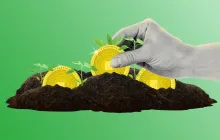 DeFi 的自然选择：适者生存