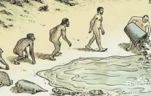 The natural selection of DeFi: survival of the fittest