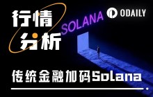 “SOL卫兵”莫慌，主力资金来托举了