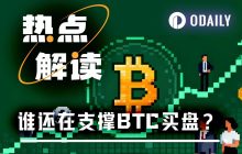 数据：BTC跌破10万美元，谁在暗中抄底？
