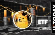 首个狗狗币ETF预计将在今年11月推出