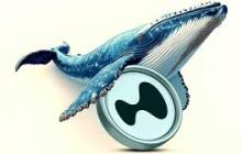 曾浮盈近亿的巨鲸：我为何离开HyperLiquid？