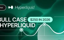 永续 DEX 里的头号玩家，HYPE 未来市场走势分析