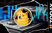 狗狗币出现在华尔街：详情