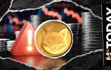 柴犬团队对最近合作伙伴的帖子发出诈骗警报