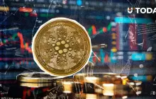 7000000个质押的卡尔达诺面临损失风险，原因如下