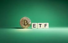 The explosion of imitation ETFs has completed in six months what Bitcoin took ten years to achieve.