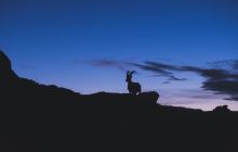 Shanzhai ETFs have exploded, completing in six months what Bitcoin took ten years to achieve: a structural transformation is happening in the crypto market.